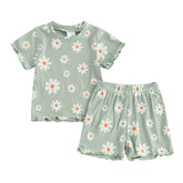Toddler Baby Girl Summer Short Clothes Outfit, 0 6 12 18 24 Months 2T 3T Floral Print Crew Neck Short Sleeve T-Shirts Tops and Shorts 2Pcs Set